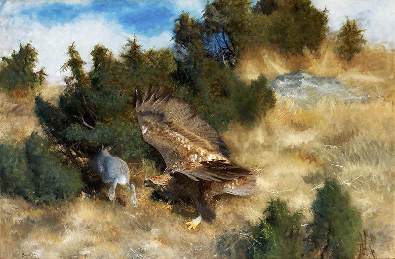 bruno liljefors orn jagande hare oil painting image